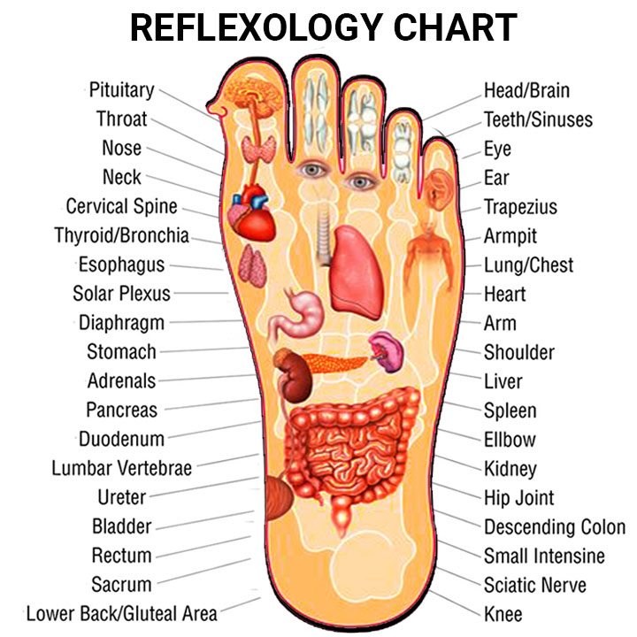 FITZ: Take control of your wellbeing | Foot Massage | Unisex Sizing | Black
